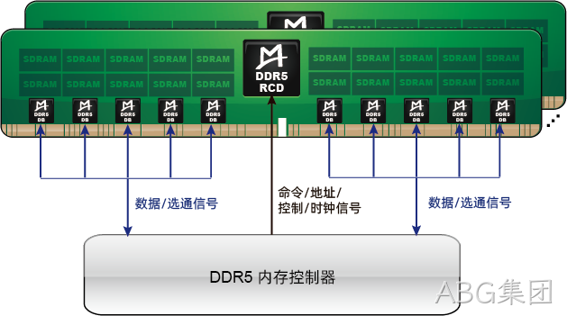 M88DR5DB01 (Gen1 DDR5 DB)